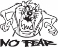 Taz-No-Fear-
