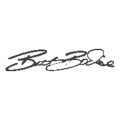 Nascar-Brett-Bodine--(82852)
