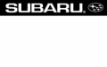 Subaru---(2323jpg)