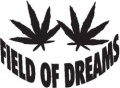 Field-Of-Dreams-(Misc-369)