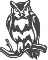 Owl--(Misc41)