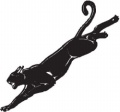 Panther--(Misc42)