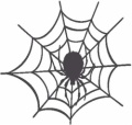 Spider--(Misc88)