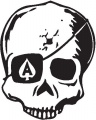 Ace--skull--(misc175.jpg)