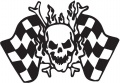 Checker-Skull---(misc76.jpg)