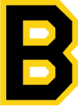 Boston-Bruins-(nhl-bos-42b)