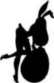Silhouette-(perform1630)