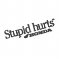 Honda-Stupid-Hurts
