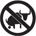 No-Bull-Shit-(swapmeet630.jpg)-