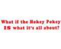 What-if-the-Hokey-Pokey-IS-what-its-all-about?----(b5589_125.gif)-
