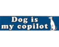 Dog-is-my-copilot----(b5658_125.gif)-