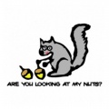 Are-you-looking-at-my-nuts?-------(lookingatmynuts.jpg)