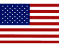 American-Flag-(u400-125.gif)