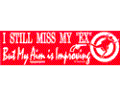 I-Miss-My-Ex--(zbs197_125.gif)